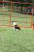 resIMG_20121007_2315.JPG